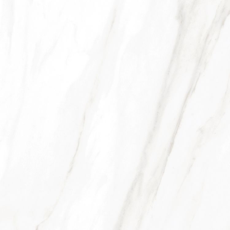 EC Calacatta Gold Matte 24 x 24